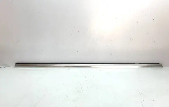 Mercedes-Benz EQE v295 Front door trim (molding) A2957203000