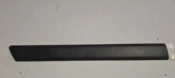 Ford Fiesta Rear door trim (molding) 2S61B29076ACW 1219428