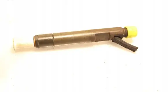 Ford Focus Fuel injector