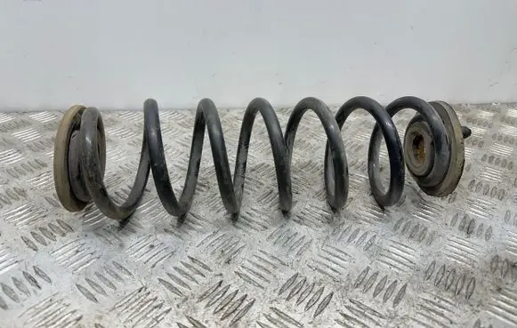 Volkswagen Tiguan Rear coil spring