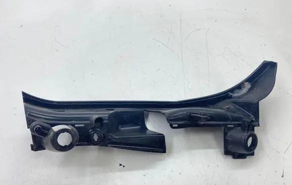 Rear/tail light trim molding