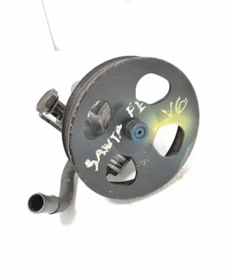 Hyundai Santa Fe Power steering pump 710026100