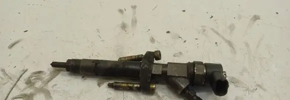 Renault Espace - Grand espace IV Fuel injector 044511084
