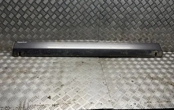 Hyundai Terracan Sill 87782H1020