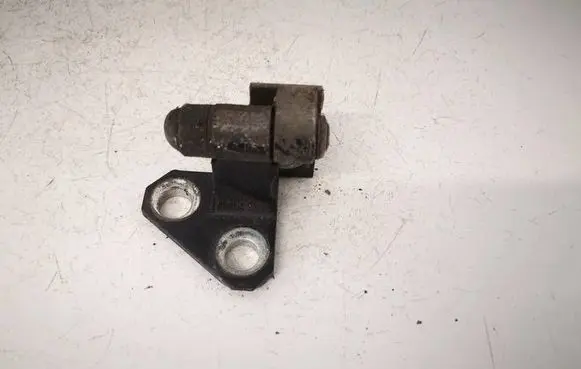 Volkswagen PASSAT B6 Rear door lower hinge