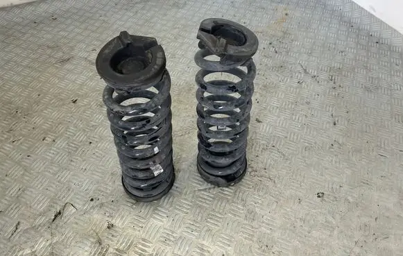 Rear coil spring