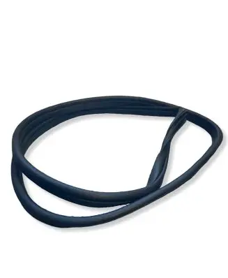 Hyundai Ioniq 5 Front door rubber seal 