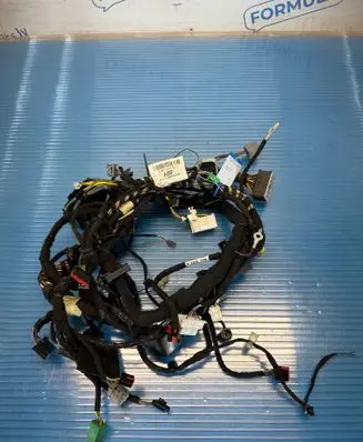 Ford Fiesta Wiring harness 12621420000 A13018984 C1BT14K024