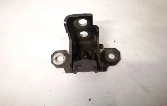 Renault Scenic III - Grand scenic III Rear door lower hinge