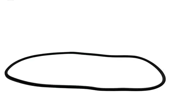 Mini Cooper Countryman R60 Trunk rubber seal (body) 9801388