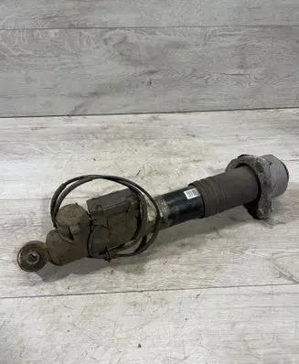 BMW X6 E71 Rear shock absorber/damper 6785406 462400003416 H5933K5