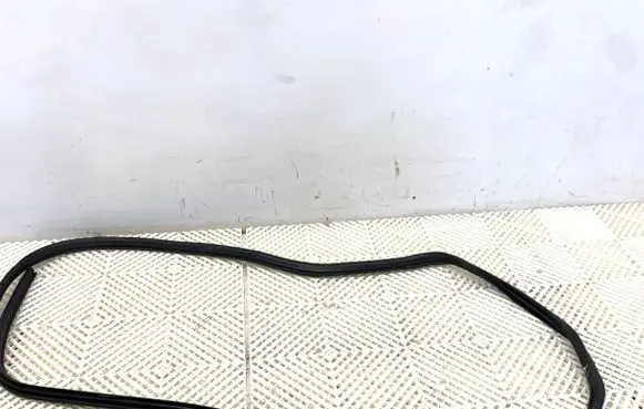 Nissan Qashqai Rubber seal front door (on door)