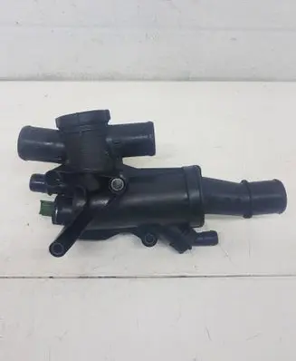 Thermostat/thermostat housing