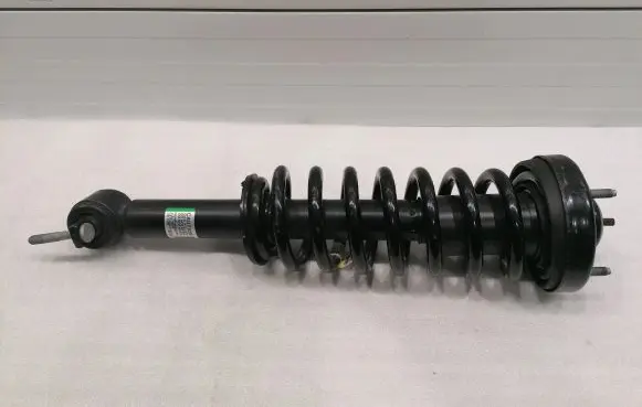 Ford F150 Front shock absorber with coil spring JL3418045 JL3418045DD