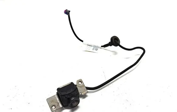 Tesla Model S Reversing camera 106126900C