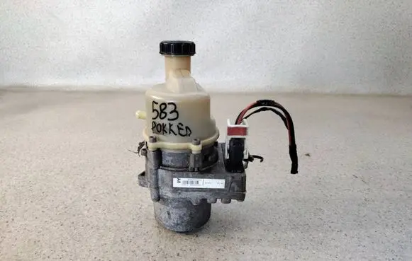 Dacia Dokker Power steering pump 491109155R196 491109155R
