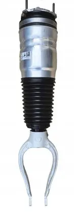 Maserati GranTurismo II Rear shock absorber with coil spring 06703039060