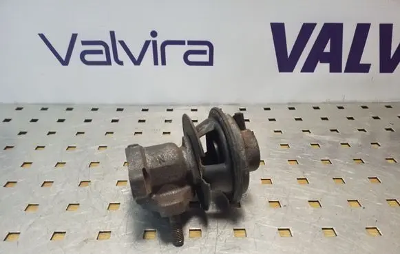 Hyundai Terracan EGR valve