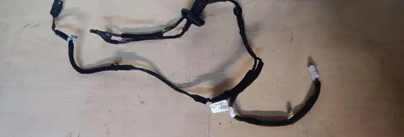 KIA Rio Rear door wiring loom 916501W030R