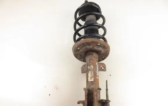Fiat Bravo Front shock absorber with coil spring 50710778