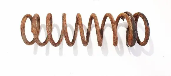 Honda Accord Rear coil spring