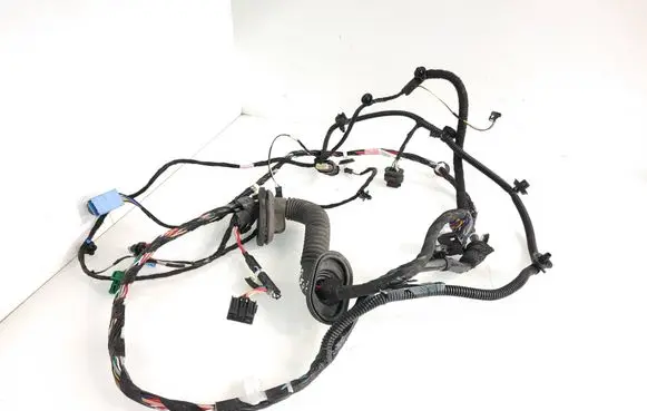 Front door wiring loom