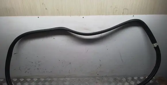 KIA EV6 Rubber seal rear door 