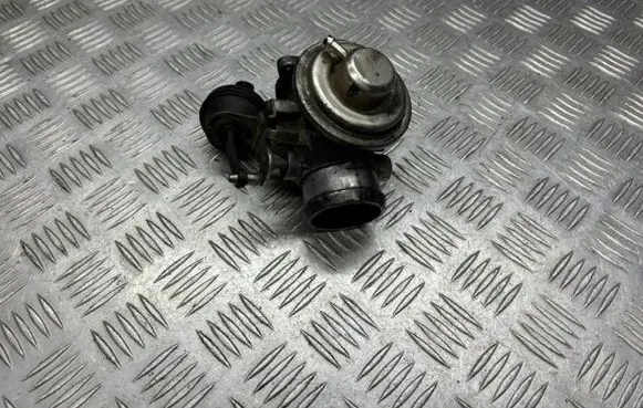Volkswagen Golf IV EGR valve 038131501a