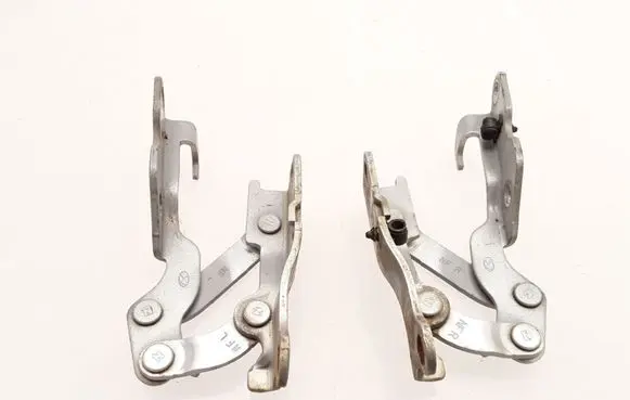 Hyundai Sonata Engine bonnet/hood hinges