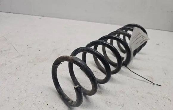 Renault Megane II Rear coil spring 
