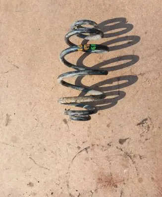 Volkswagen PASSAT B5.5 Rear coil spring