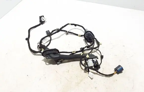 Other wiring loom