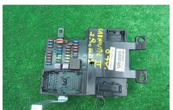 KIA Carnival Fuse module