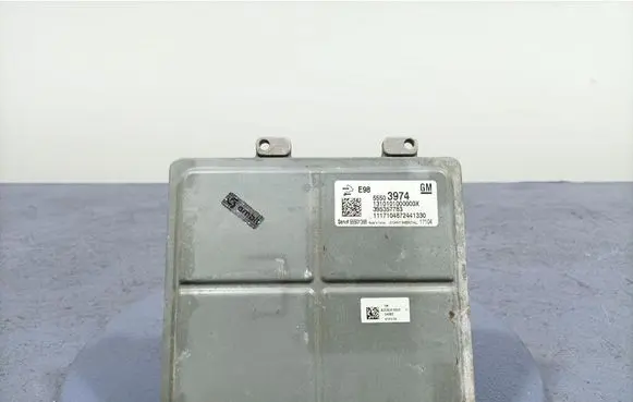 Engine control unit/module ECU