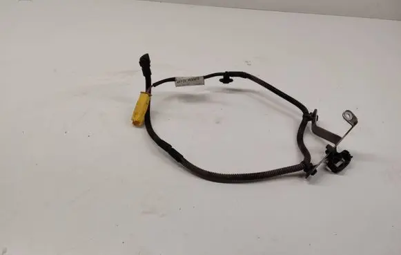 Other wiring loom