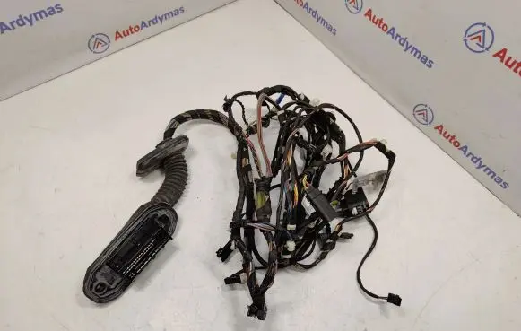 BMW X3 F25 Front door wiring loom 9252384 61129252388