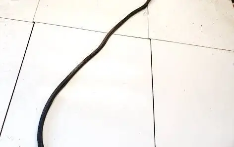 Skoda Superb B5 (3U) Engine compartment rubber 