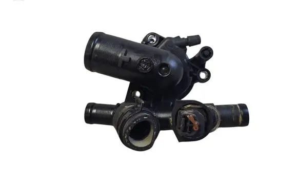 Thermostat/thermostat housing