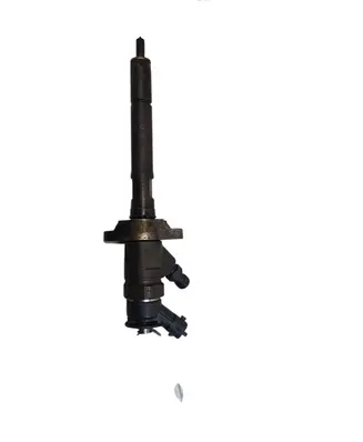 Citroen C5 Fuel injector 0445110297