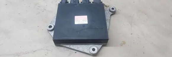 Lexus RX 450H Fuel injection control unit/module 8987130040 1310001770