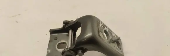 Citroen DS5 Front door lower hinge 