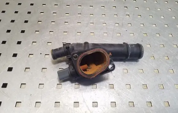 Thermostat/thermostat housing