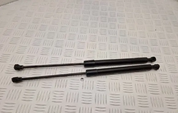 Renault Captur Tailgate/trunk strut/damper 844301324R F1545N