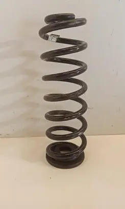 Skoda Kodiaq Rear coil spring 5QF511115BG