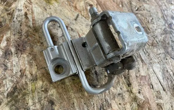 Rear door lower hinge