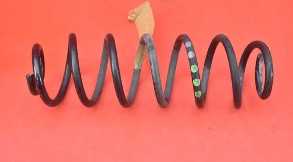 Rear coil spring