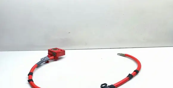 BMW 6 E63 E64 Positive cable (battery) 6989784