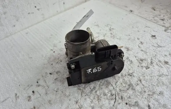 Throttle body valve