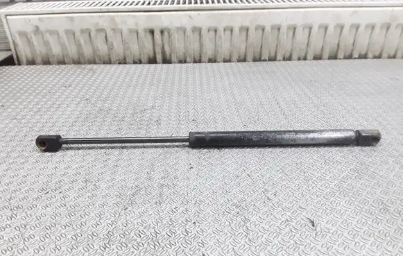 Tailgate/trunk strut/damper