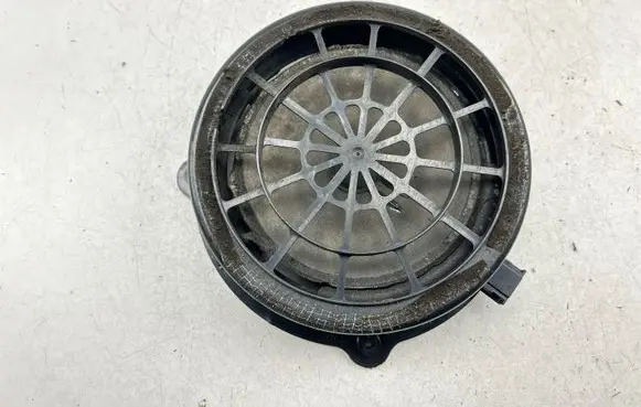Front door speaker